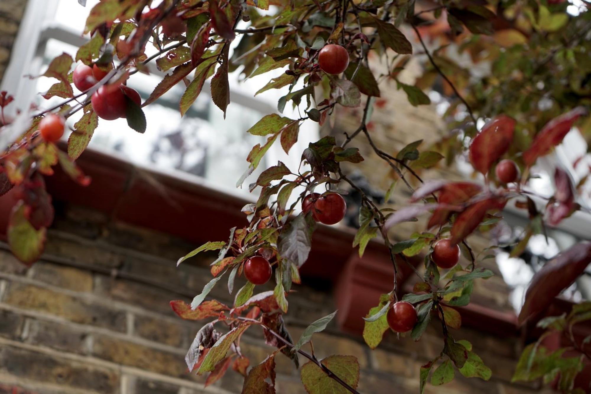 Beautiful London Home Sleeps 6, 2 Minutes To Metro Ngoại thất bức ảnh